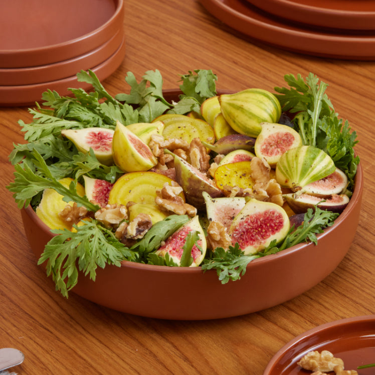 Terracotta dinner bowl with fig salad